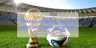 Thư ngỏ về World cup 2018