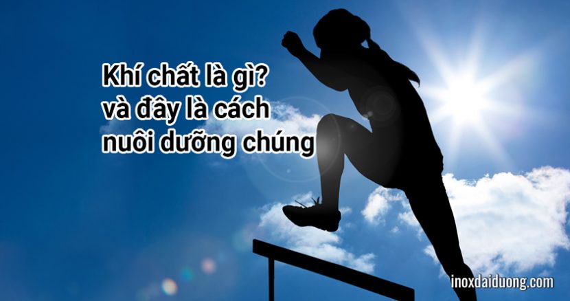 Khí chất là gì? và đây là cách nuôi dưỡng chúng